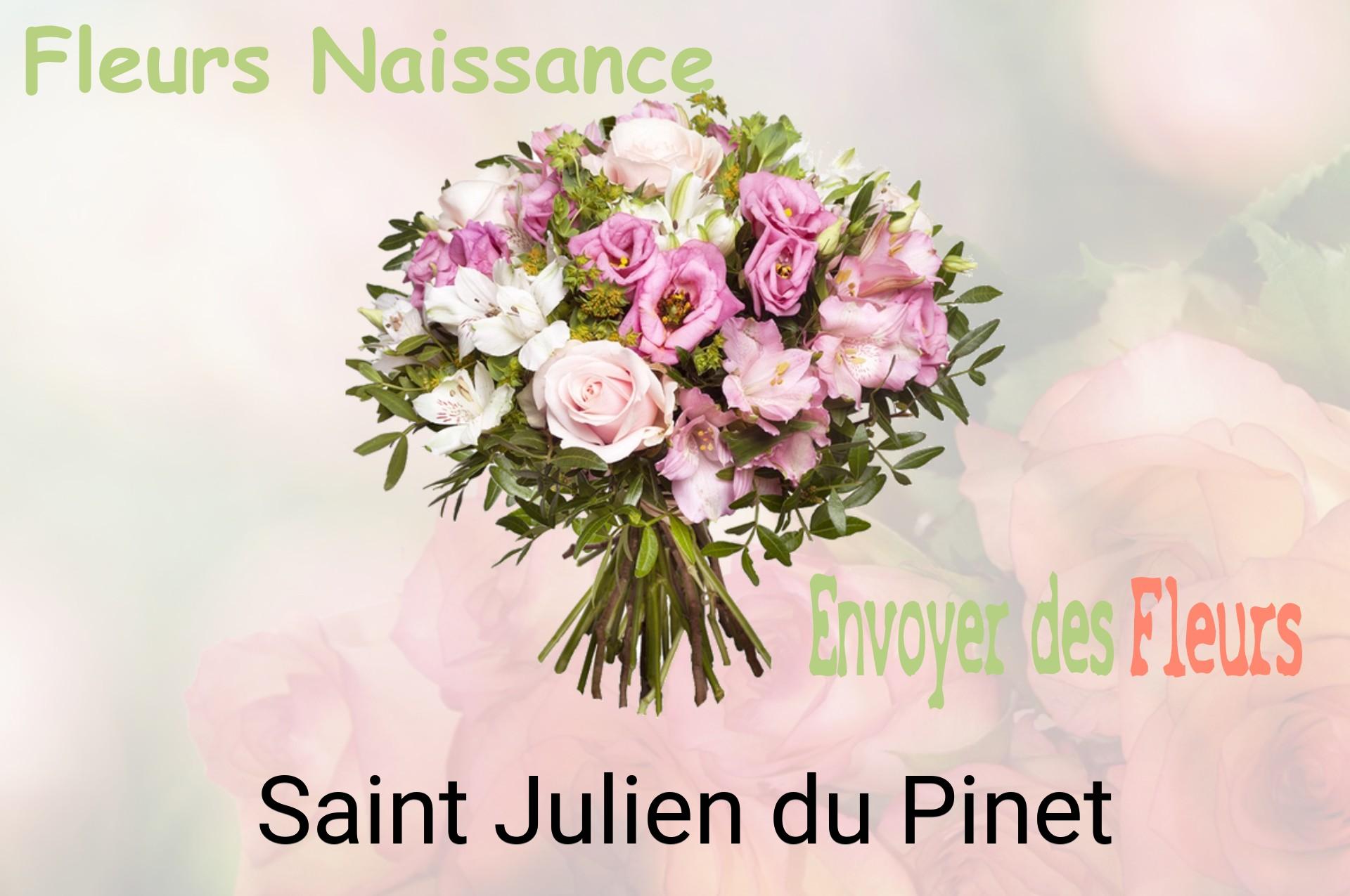 Bouquet de fleurs de naissance livré à Saint-Julien-du-Pinet