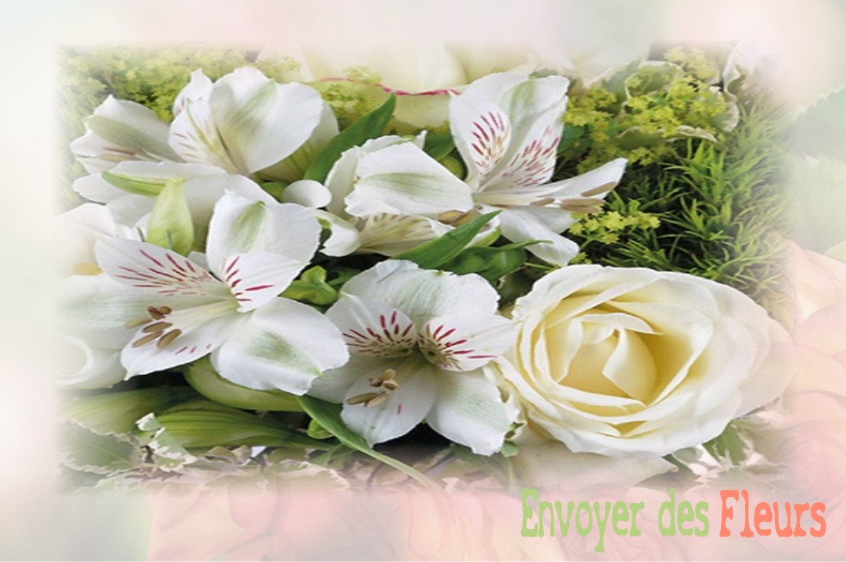 envoyer des fleurs à à SAINT-JULIEN-DU-PINET